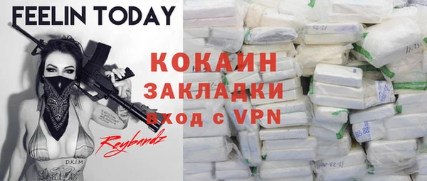 спайс Няндома