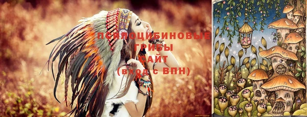 спайс Няндома