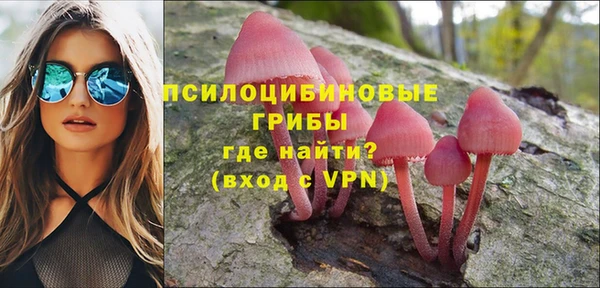 стафф Нязепетровск