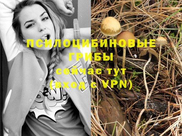 стафф Нязепетровск