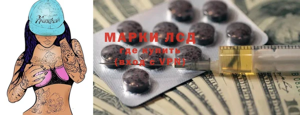 спайс Няндома